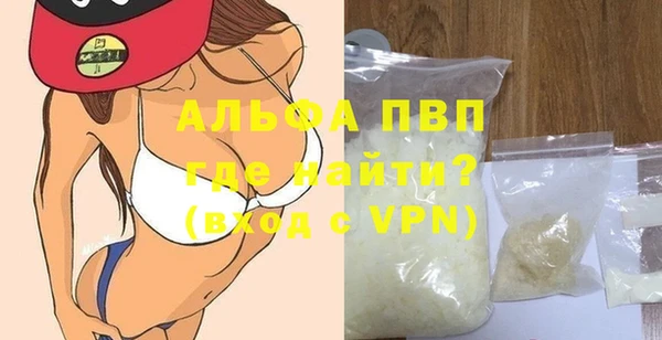 шишки Верея