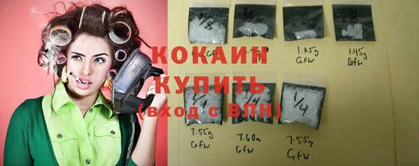 эйфоретик Сосновка