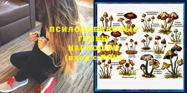 эйфоретик Сосновка