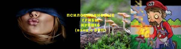 эйфоретик Сосновка