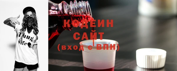 шишки Верея