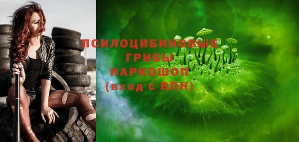 эйфоретик Сосновка