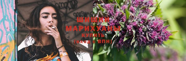 эйфоретик Сосновка