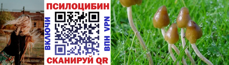 кракен как войти  Углегорск  Псилоцибиновые грибы Magic Shrooms  купить наркотики цена 
